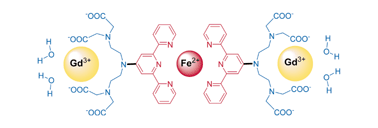 Graphical abstract: Novel heteroditopic chelate for self-assembled gadolinium(iii) complex with high relaxivity