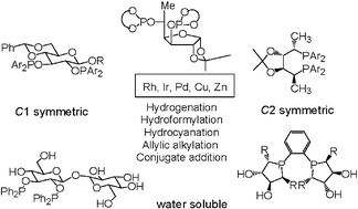 Graphical abstract: C 1 and C2-symmetric carbohydrate phosphorus ligands in asymmetric catalysis