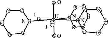 Graphical abstract: Synthesis of the stable UO2I2, the last of the uranyl dihalides. X-Ray crystal structure of [UO2I2(py)3]