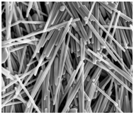 Graphical abstract: Different morphologies of silver nanoparticles as catalysts for the selective oxidation of styrene in the gas phase