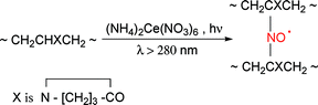 Graphical abstract: Aminoxyl radicals as crosslinks for macromolecules of polyvinylpyrrolidone