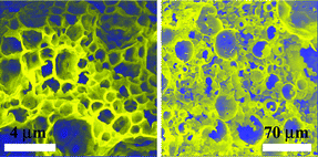 Graphical abstract: Inorganic monoliths hierarchically textured via concentrated direct emulsion and micellar templates