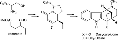 Graphical abstract: Enantioselective formal synthesis of uleine alkaloids from phenylglycinol-derived bicyclic lactams