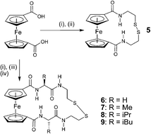 Graphical abstract: Synthesis, structure and electrochemistry of ferrocene–peptide macrocycles