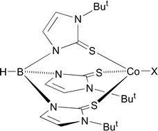 Graphical abstract: Cobalt tris(mercaptoimidazolyl)borate complexes: synthetic studies and the structure of the first cobaltaboratrane