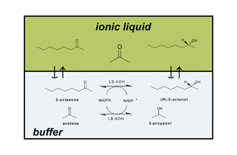 Graphical abstract: Use of an ionic liquid in a two-phase system to improve an alcohol dehydrogenase catalysed reduction