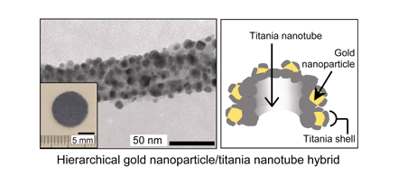 Graphical abstract: A facile route to a highly stabilized hierarchical hybrid of titania nanotube and gold nanoparticle