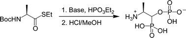 Graphical abstract: Straightforward synthesis of gem-phosphonate-phosphate containing compounds via one-pot reaction of thioesters with diethyl phosphite