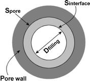 Graphical abstract: Study of n-hexane adsorption in MCM-41 mesoporous materials: a scaling effect approach of capillary condensation processes