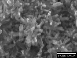 Graphical abstract: Size-effects in the dissolution of hydroxyapatite: an understanding of biological demineralization