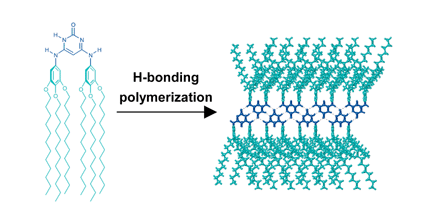 Graphical abstract: Synthesis and noncovalent polymerization of self-complementary hydrogen-bonding supramolecular synthons: N,N′-disubstituted 4,6-diamino-pyrimidin-2(1H)-ones