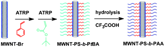 Graphical abstract: Constructing amphiphilic polymer brushes on the convex surfaces of multi-walled carbon nanotubes by in situ atom transfer radical polymerization