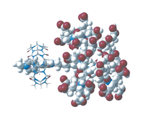 Graphical abstract: Dendrimers as guests in molecular recognition phenomena