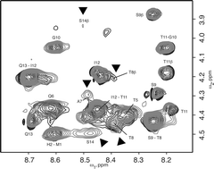 Graphical abstract: Molecular characterization of a prokaryotic polypeptide sequence that catalyzes Au crystal formation