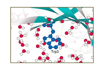 Graphical abstract: Fluorescence studies of protein thermostability in ionic liquids