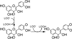 Graphical abstract: Inhibition of free radical initiated peroxidation of human erythrocyte ghosts by flavonols and their glycosides