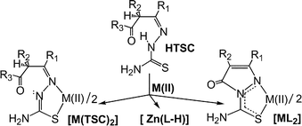 Graphical abstract: Reactions of thiosemicarbazones derived from β-keto amides and β-keto esters with Zn(ii) and Cd(ii) acetates: influence of metal, substitution, reagent ratio and temperature on metal-induced cyclization