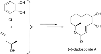 Graphical abstract: A chemoenzymatic total synthesis of the phytotoxic undecenolide (−)-cladospolide A