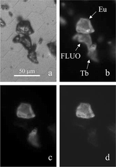 Graphical abstract: Spatial and temporal discrimination of silica particles functionalised with luminescent lanthanide markers using time-resolved luminescence microscopy