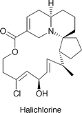 Graphical abstract: Synthesis of the tricyclic core of halichlorine