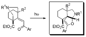 Graphical abstract: Unprecedented photochemical induced cascading rearrangement of the 3-azabicyclo[3.3.1]nonane skeleton