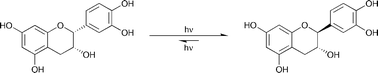 Graphical abstract: Catechin and hydroxybenzhydrols as models for the environmental photochemistry of tannins and lignins