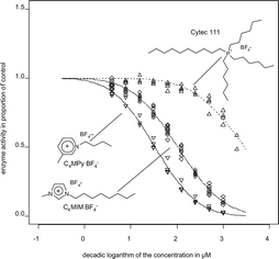 Graphical abstract: Effects of ionic liquids on the acetylcholinesterase – a structure–activity relationship consideration