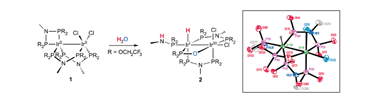 Graphical abstract: Water addition to a two-electron mixed-valence bimetallic center