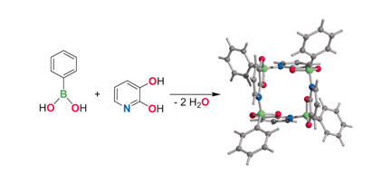 Graphical abstract: A new method for the synthesis of boronate macrocycles