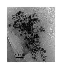 Graphical abstract: Continuous preparation of functionalised calcium phosphate nanoparticles with adjustable crystallinity