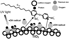 Graphical abstract: Dynamics and mechanistic features in the photocatalyzed oxidation of disulfonated anionic surfactants on the surface of UV-irradiated titania nanoparticles