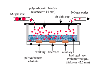 Graphical abstract: Novel biocompatible hydrogel-based amperometric sensor for nitric oxide gas detection: towards a non-invasive device