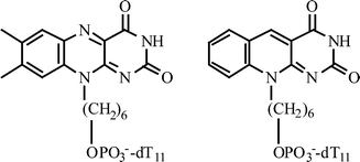 Graphical abstract: New flavin and deazaflavin oligonucleotide conjugates for the amperometric detection of DNA hybridization