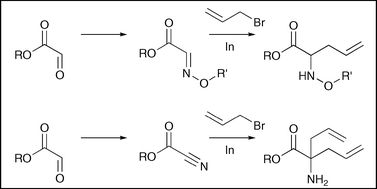 Graphical abstract: Indium mediated allylation of glyoxylate oxime ethers, esters and cyanoformates