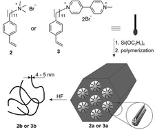 Graphical abstract: Template synthesis of functionalized polystyrene in ordered silicate channels