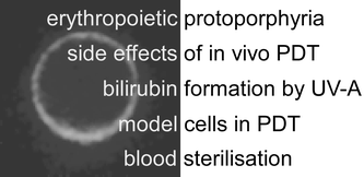 Graphical abstract: Erythrocytes—the ‘house elves’ of photodynamic therapy