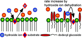 Graphical abstract: The Kemp elimination in membrane mimetic reaction media. Probing catalytic properties of cationic vesicles formed from a double-tailed amphiphile and linear long-tailed alcohols or alkyl pyranosides