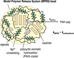 Graphical abstract: Perspectives on modeling the release of hydrophobic organic contaminants drawn from model polymer release systems