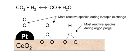 Graphical abstract: On the importance of steady-state isotopic techniques for the investigation of the mechanism of the reverse water-gas-shift reaction