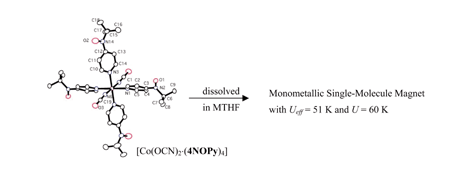 Graphical abstract: Magnetic behavior of tetrakis[4-(N-tert-butyl-N-oxylamino)pyridine]bis(isocyanato-N)cobalt(ii) in frozen solution