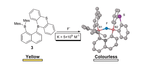 Graphical abstract: A bidentate borane as colorimetric fluoride ion sensor