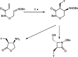 Graphical abstract: A novel synthesis of amino-1,2-oxazinones as a versatile synthon for β-amino acid derivatives