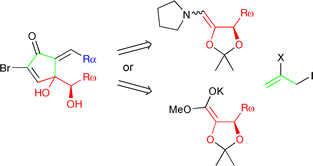 Graphical abstract: Synthesis and biological evaluation of new cross-conjugated dienone marine prostanoid analogues