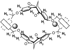 Graphical abstract: Ligand self-recognition in the stereoselective assembly of [2 + 2] metallomacrocycles from racemic chiral bisbipyridyl molecular clefts and zinc(ii)