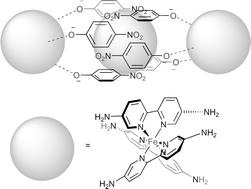 Graphical abstract: Self host–guest network through molecular paneling of para-nitrophenolate: hydrogen-bonded assembly of three tris(5,5′-diamino-2,2-bipyridine)iron complexes in the crystallographic asymmetric unit