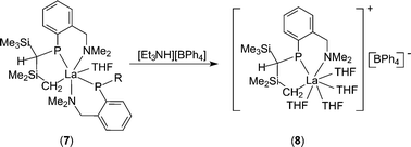 Graphical abstract: Protonation of a lanthanum phosphide-alkyl occurs at the P–La not the C–La bond: isolation of a cationic lanthanum alkyl complex