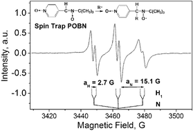 Graphical abstract: In-situ spin trap electron paramagnetic resonance study of fuel cell processes