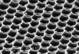 Graphical abstract: Fabrication of large-scale zinc oxide ordered pore arrays with controllable morphology