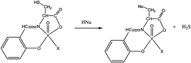 Graphical abstract: N-Salicylideneamino acidato complexes of oxovanadium(iv). The cysteine and penicillamine complexes