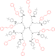 Graphical abstract: Photochemical and photophysical properties of a poly(propylene amine) dendrimer functionalised with E-stilbene units